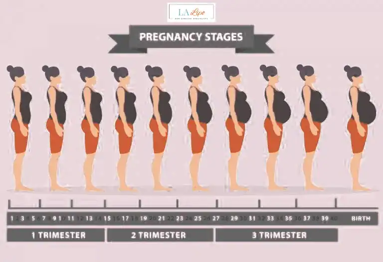 First Trimester (Weeks 1–12): Early Changes You Might Not Notice Rochdale